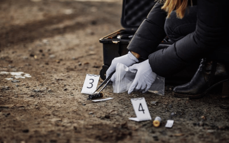 Murder Investigations