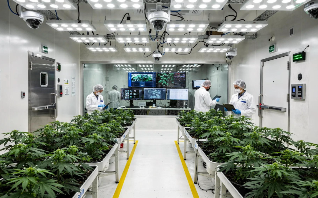 Missouri Cannabis Security: Meeting 2026 Compliance Standards for Grow Facilities