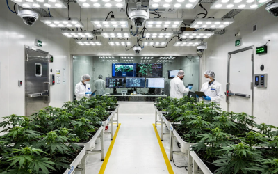 Missouri Cannabis Security: Meeting 2026 Compliance Standards for Grow Facilities